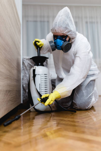 Best Indoor Pest Control  in Stratford, TX